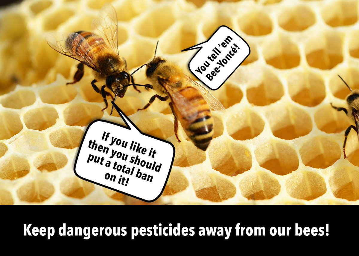 The Environment Minister, George Eustice has approved an emergency use of a bee-killing pesticide, but we need to remind him that we’re in the middle of a climate and nature emergency! 

Sign this petition to protect bees: act.gp/2XQQ4NP