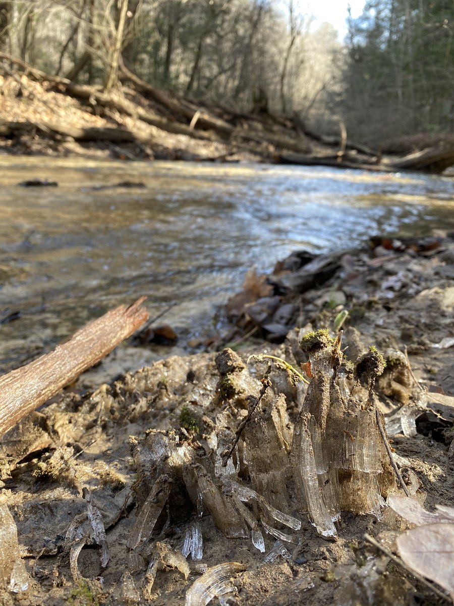 DrArialShogren's tweet image. Late-breaking, but I’m recruiting 1-2 PhD students for Fall 2021 / Spring 2022! Come work with me on stream biogeochemistry in the Southeast. Reach out if you or someone you know might be interested in applying 😊 @UaDeptBSC @UofAlabama