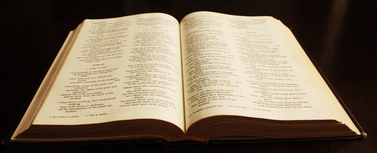 La vostra condotta sia senza avarizia; accontentatevi di quello che avete, perché Dio stesso ha detto: Non ti lascerò e non ti abbandonerò.

Ebrei 13,5