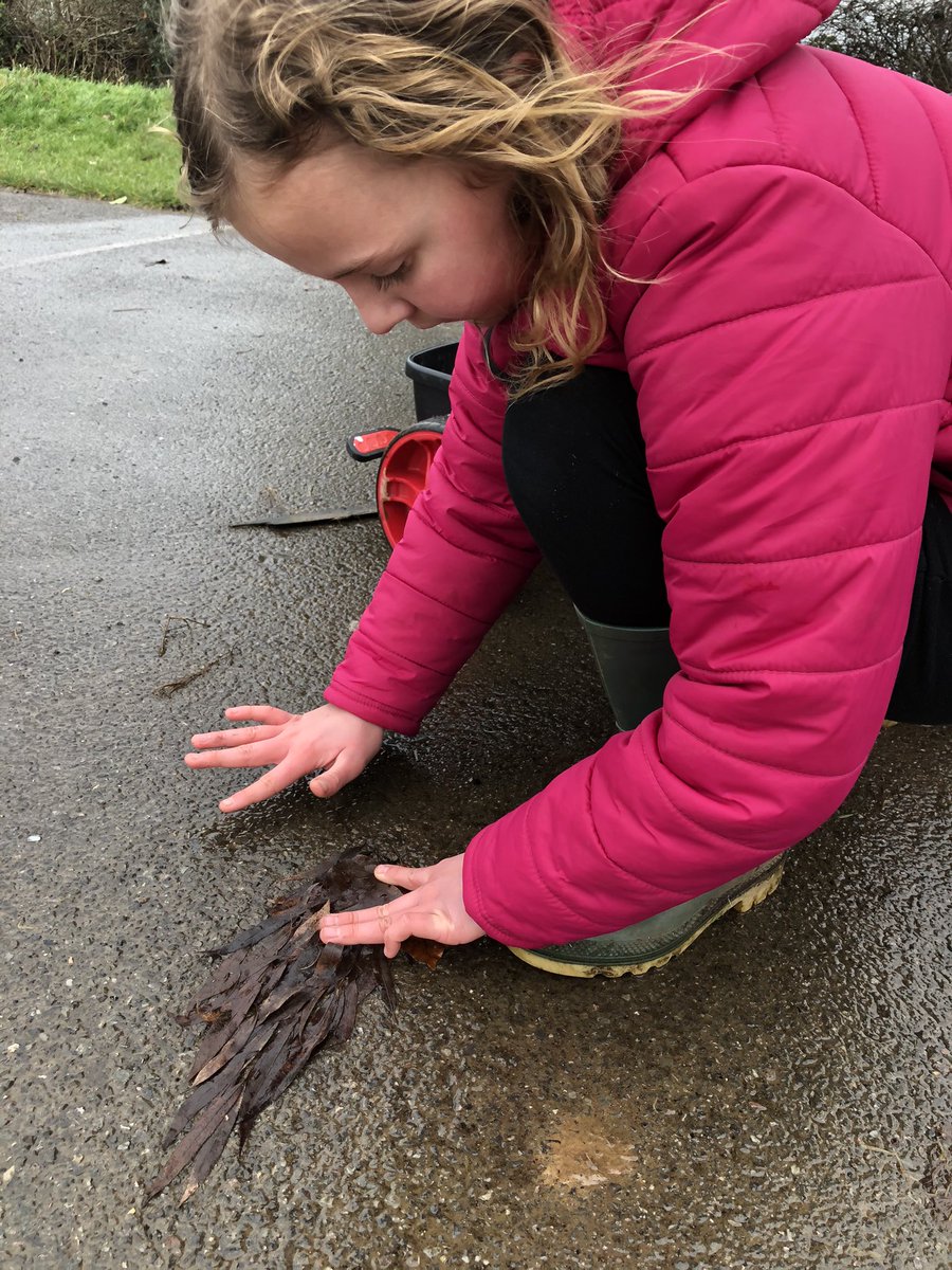 NikkiP2310's tweet photo. @WfaYear5 Scarletts nature art work from today became a family affair! Her interpretation of a feather #wfaartist #homelearning https://t.co/gLPOyuYWon