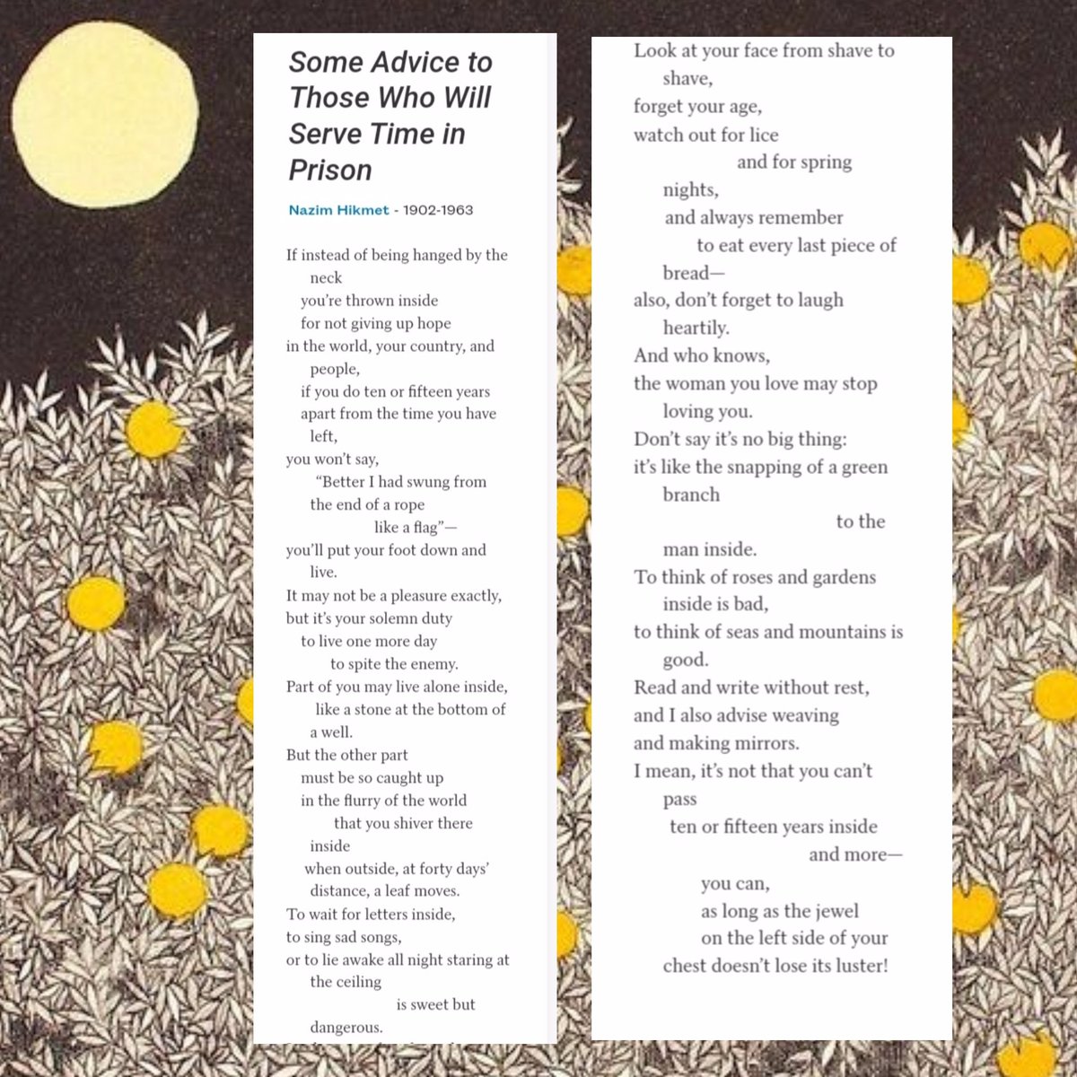 PinjraTod's tweet photo. It has been 8 months since our comrades Devangana and Natasha have been arrested. 

Drawing strength from their resilience, and countless others who have been wrongfully incarcerated in this current regime, we turn to Nazim Hikmet's poem for sustenance!
 
Art: @dharspeaks https://t.co/3VkEOhlFnr