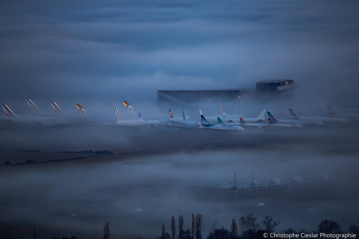 TarmacAerosave's tweet photo. [#TailTuesday] Breathtaking views of our facilities in #Tarbes by Christophe Cieslar.
Those sleeping beauties are alive! We take good care of them.

#AircraftStorage #TransitionExpert #picoftheday #photography #aircraftspotting https://t.co/D5Y7SDiN7P