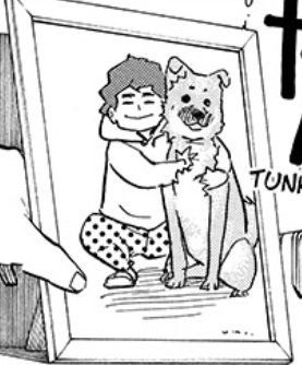 dogs in Haikyuu ??

the youngest hirugamis 