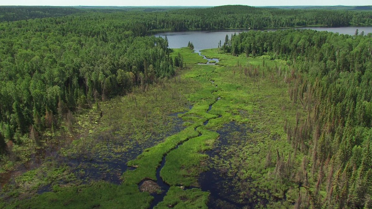 Los mejores documentales para la tarde de #laOtra 
📌Así sobrevive el reino animal 
📌La frontera eterna
📌Yellowstone
📌 Escocia desde el aire