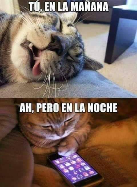 Alfa7Soprano's tweet photo. 🤣🔥#DespuésTeConfiesas!
🔥😲🤣😈#Awebos! https://t.co/tNmVMzQAwR