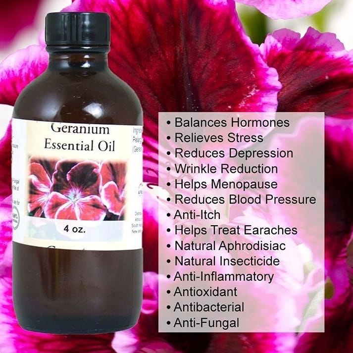 shadesofafricaj's tweet photo. A kiss for Health and Beauty! One of our Valentine's Day picks. Visit our Online Catalog at https://t.co/cQnnlPdnGO
#valentinesday #care #GiftIdeas #GiftsforHim #GiftsforHer #gifts #geraniumessentialoil #beauty #naturalskincare #BodyOils #healthandbeauty #orderonline https://t.co/361zEhIPJA