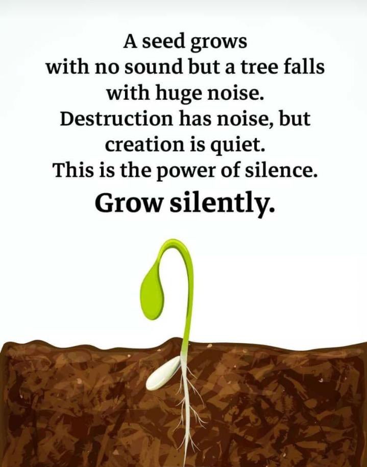 Nitin Avula tweet media