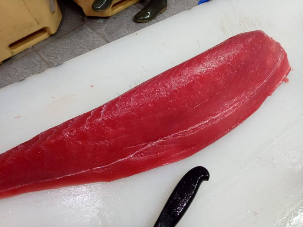 Chefstradingdc's tweet photo. Boats are coming back in offloading #Tunas. #1 and #2+ #YellowfinTuna H/G or loins. Contact us today for your fresh fish needs. Help us #Support #HumanRights #Sustainable #Fishing with our #Traceability tags in our #International #SlaveFree #SupplyChain. https://t.co/5fDUlovTZo