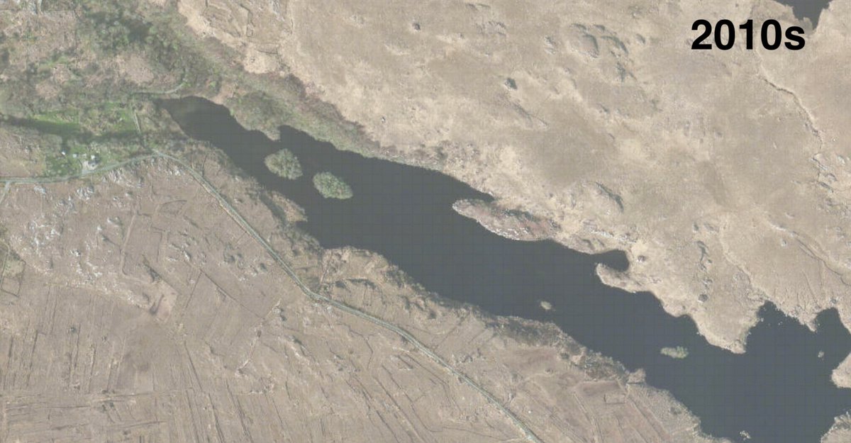 How old is this bit of woodland? In the 1840s map no woodland is marked, most of the area is enclosed by a wall. By the 1900s islands and a sliver of the North lakeshore are marked as 'brushwood', and by the 2010s the trees seem to have overtaken the old 19th century farm (4/5)