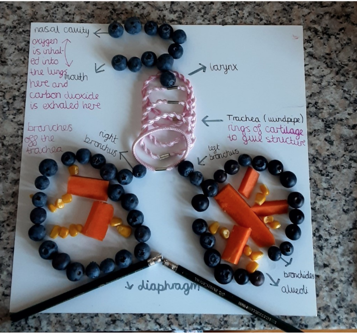 Miss Leddy tweet media