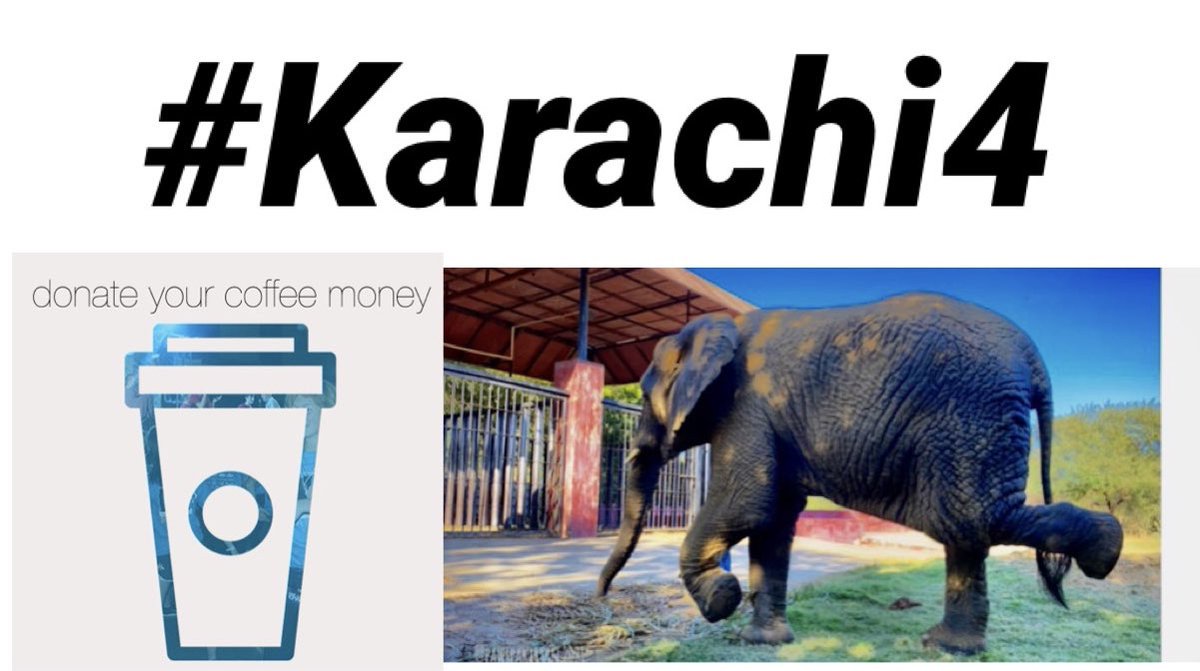 anikasleem's tweet photo. On Jan 22/2021 Join us ! #SkipTheJoe 

Skip your coffee ☕️ or a pot &amp; Donate for the #Karachi4  

This is an urgent call for medical attention for MALIKA, SONU, NOOR JEHAN &amp; MADHU BALA 
@ftwglobal 
#TeamKaavan #Pakistan  #FreeTheWild #karachi4 #AfricanElephants https://t.co/IDDyrFbHYp