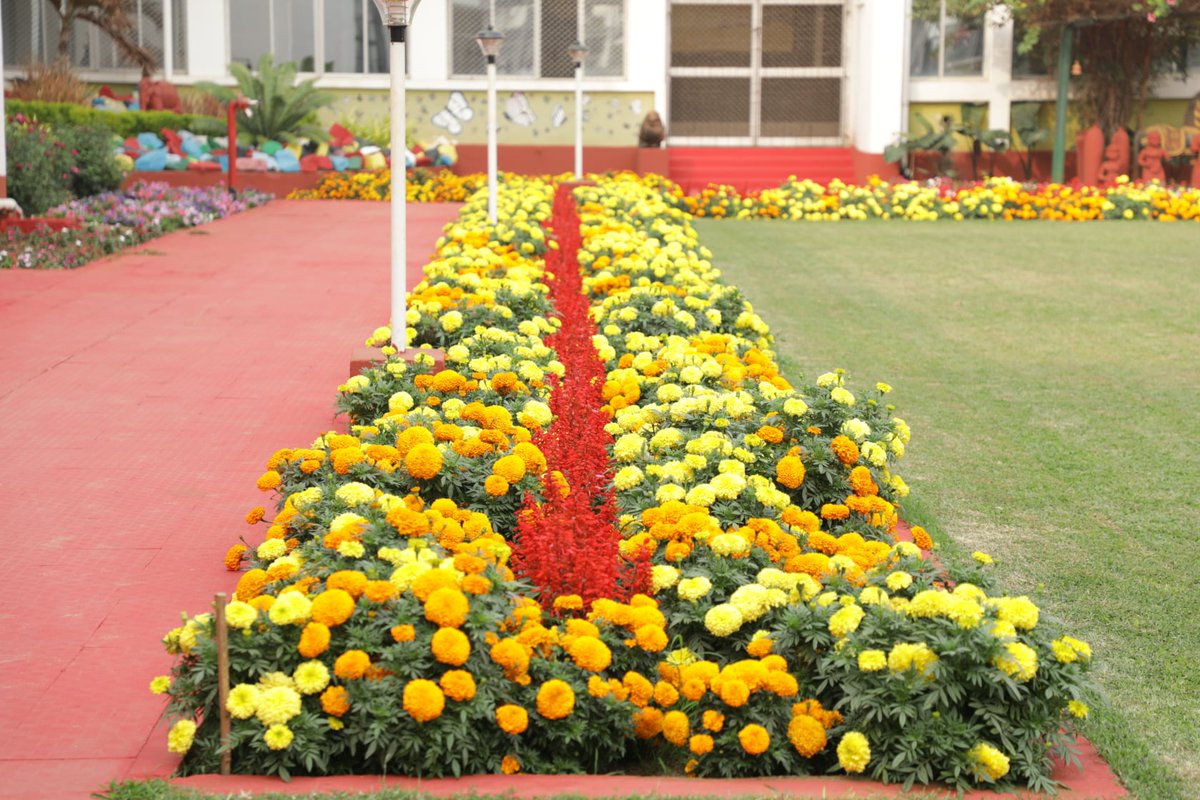 MuseumState's tweet photo. Welcome to Odisha State Museum. After a long pandemic period 200 numbers of visitors are allowed daily (except Monday and Saturday) to the museum following Covid guidlines. https://t.co/D5og68LrHV