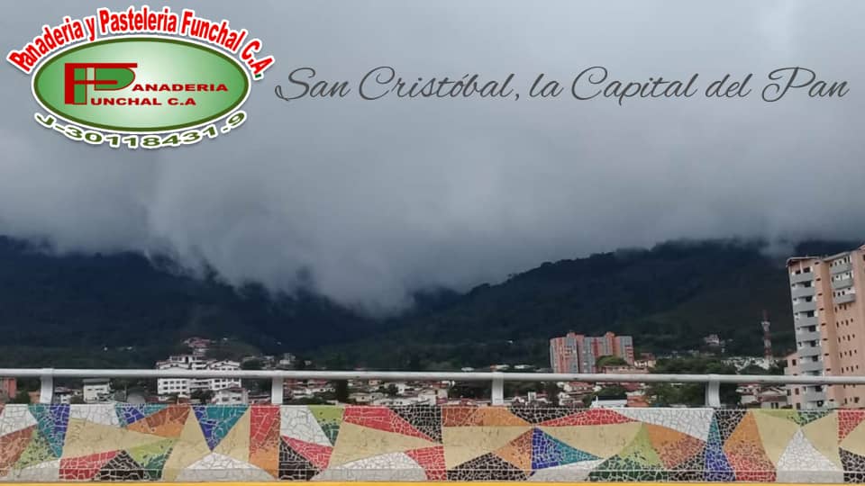 Panadería Funchal tweet media