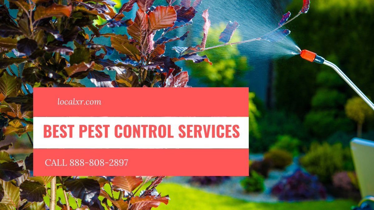 LocalXR's tweet image. Find the best 24/7 exterminator &amp;amp; pest control services near you. Call 888-808-2897 &amp;amp; get a quote.
#pestcontrol #pestcontrolservice #homeservice #Local #localbusiness #businesses #businessnews #LocalNews #professional #tuesdayvibe #tuesdaymotivations #Houston #NewYork #Texas
