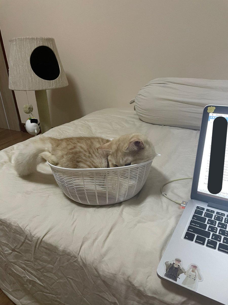 ขอบคุณสำหรับกำลังใจค่ะ