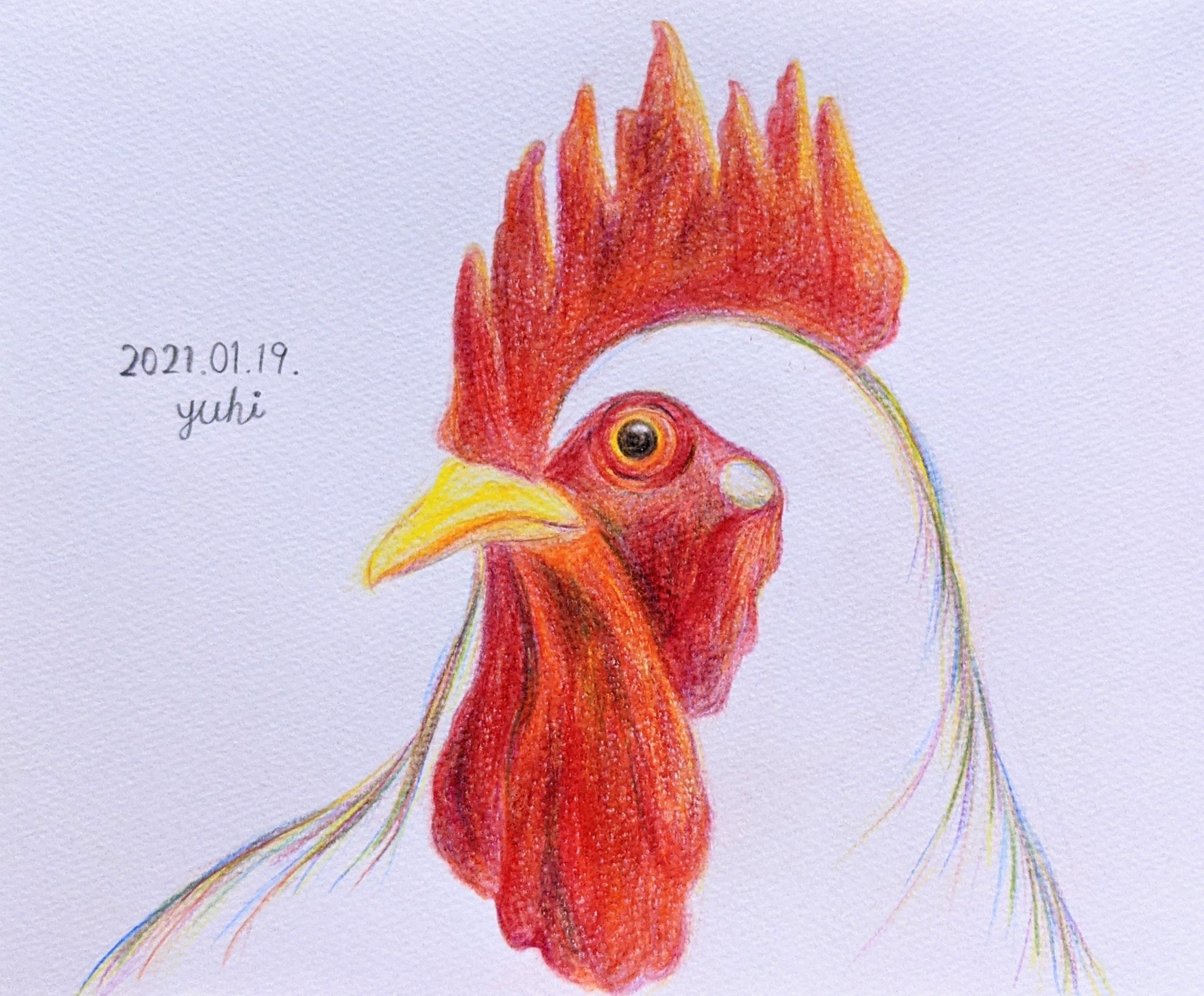 夕日 鶏 にわとり 今日完成した絵と 幼稚園の頃に描いた絵です どっちの方が良いとかではなく 両方とも変えられない魅力があって 大好きな私の絵です 色鉛筆 色鉛筆画 イラスト 絵描きさんと繋がりたい 夕日 鶏 にわとり 今日完成した絵と 幼稚園の頃に描いた絵です どっちの方が良いとかではなく 両方とも変えられない魅力があって 大好きな私の絵です 色鉛筆 色鉛筆画 イラスト 絵描きさんと繋がりたい
