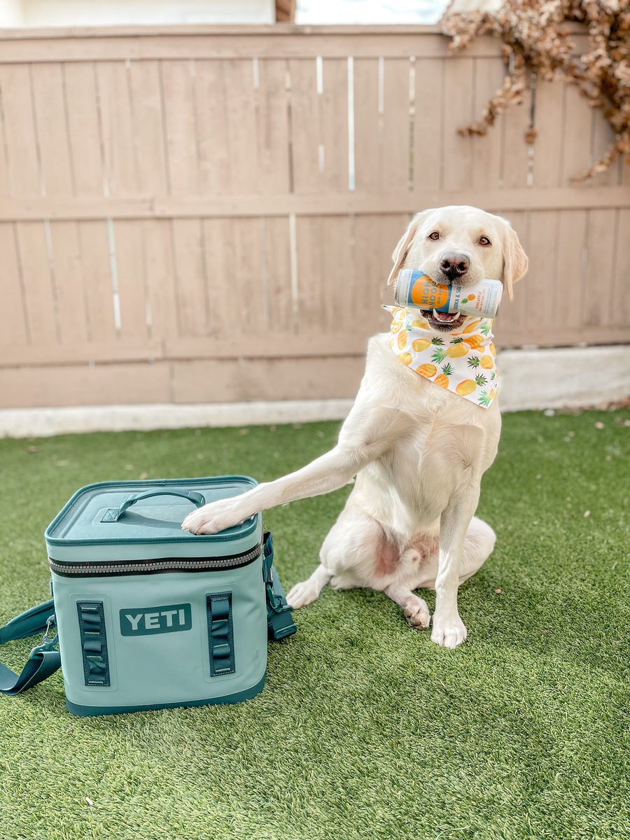 #tuesdayboozeday <a href="/barstoolsports/">Barstool Sports</a> <a href="/icanteven/">icanteven</a> <a href="/highnoonsunsips/">High Noon</a> <a href="/YETICoolers/">YETI</a>