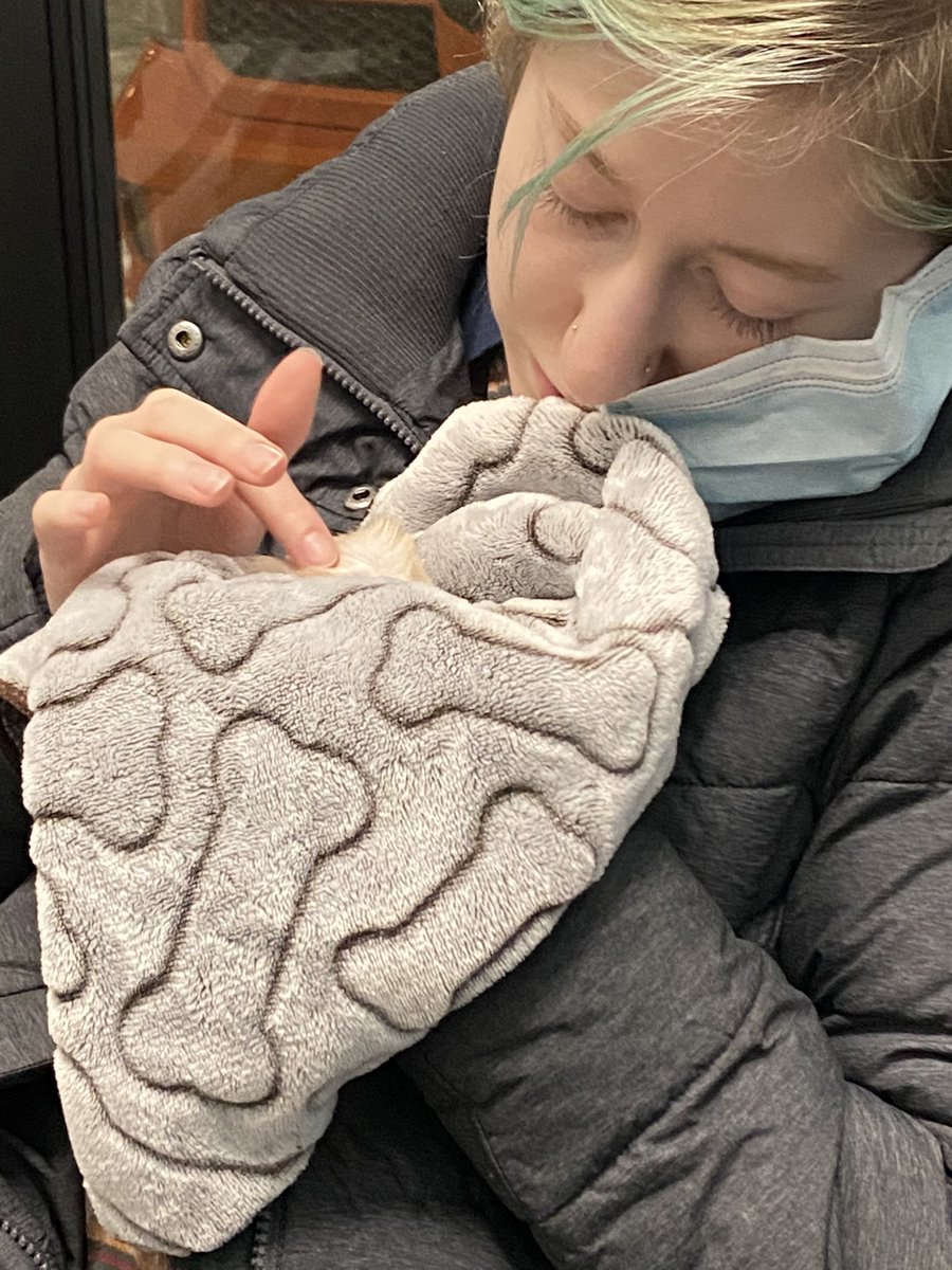 PO_parent's tweet photo. had to say goodbye to a sweet girl last night 😔 she was with @supereviegalaxy in really hard times and helped us a lot more then one would think. rest easy, Honey. https://t.co/3wEkVmcg1d