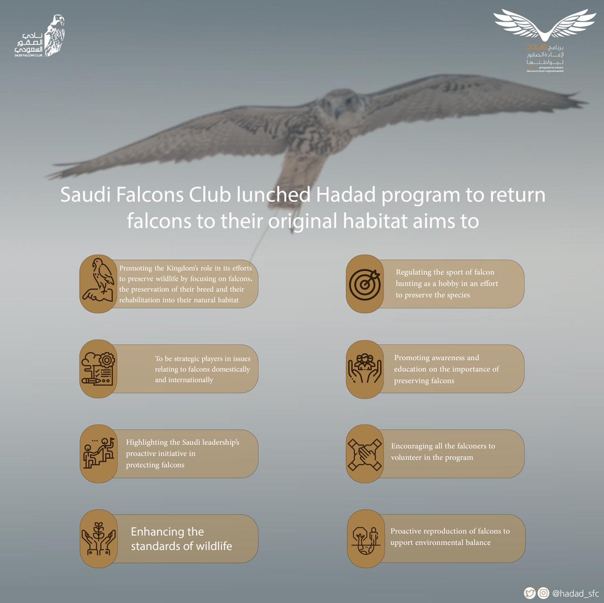 Hadad_sfc's tweet photo. #Hadad_Program Aims: https://t.co/F1AJK2VVGJ