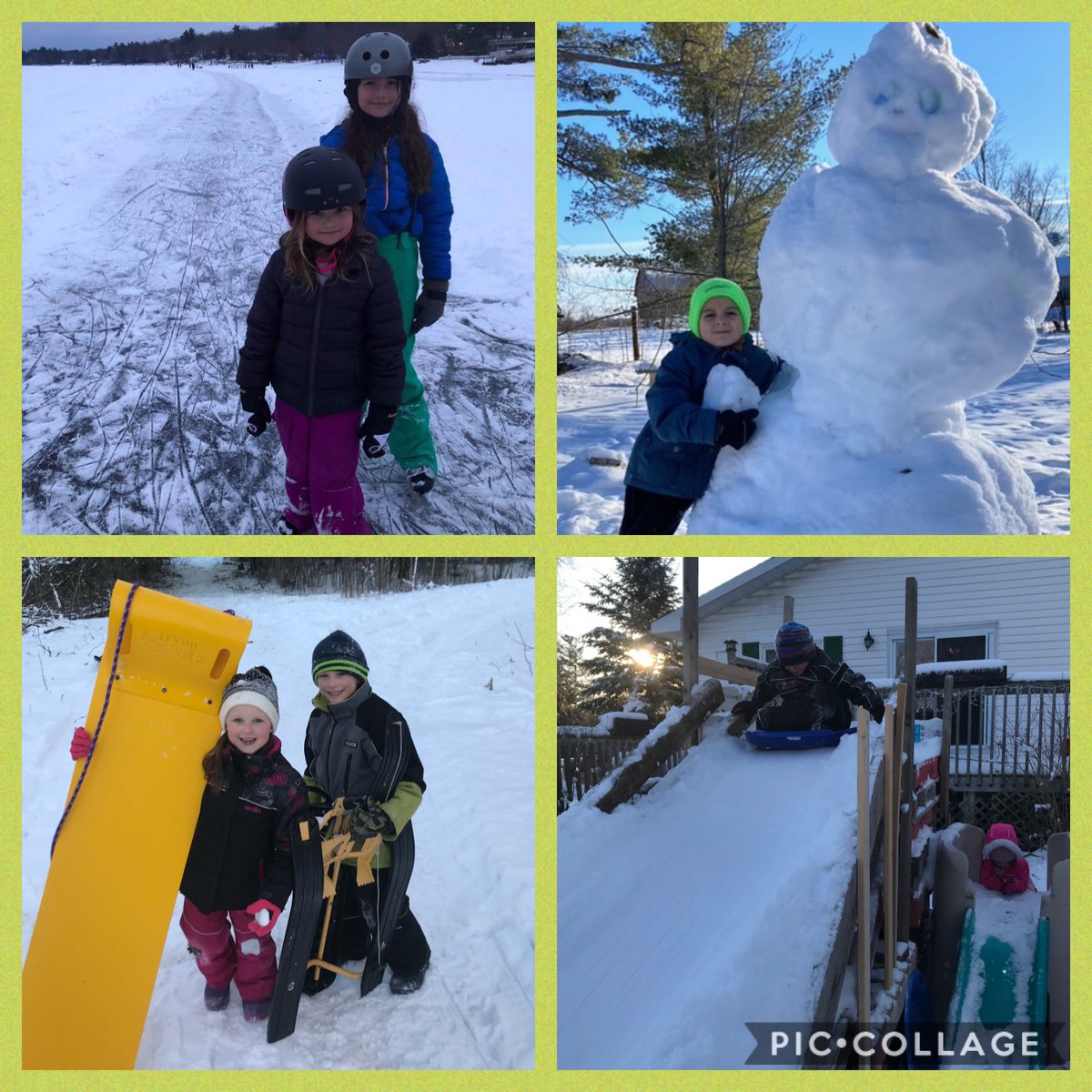 MichaelFitzOCSB's tweet photo. Check out these Mustangs enjoying the fresh air! #Mustangrun https://t.co/B1iGpOVGCx