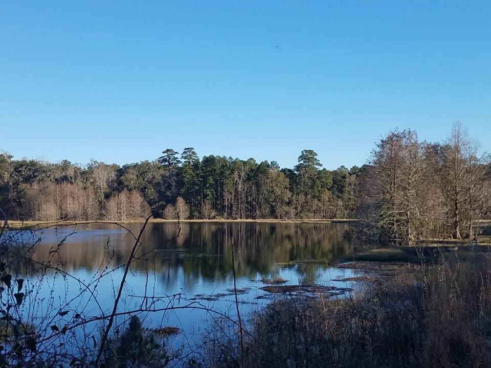 COTparks's tweet photo. Download the Tally Parks App to explore many of our nature trails winding throughout Tallahassee. For details, visit https://t.co/gGtdr4XWvG. #ExploreTallahassee #BikeTLH #GreatPlacesTLH #ItStartsInParks https://t.co/2lTlW7cXt8