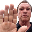 CeleryBody tweet media