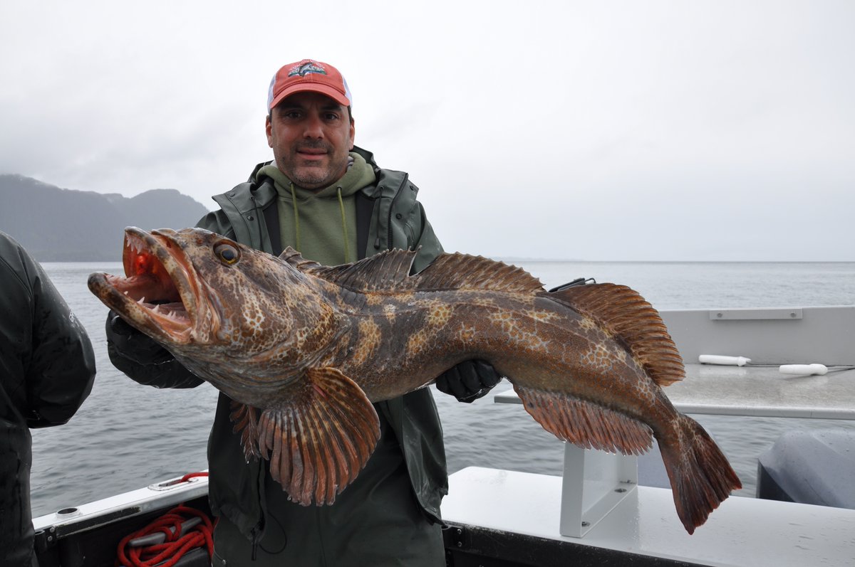 Lingcod! They sure can be freaky looking but they do taste good! Anyone want to give this Lingcod a kiss?!? Good luck  if you do!