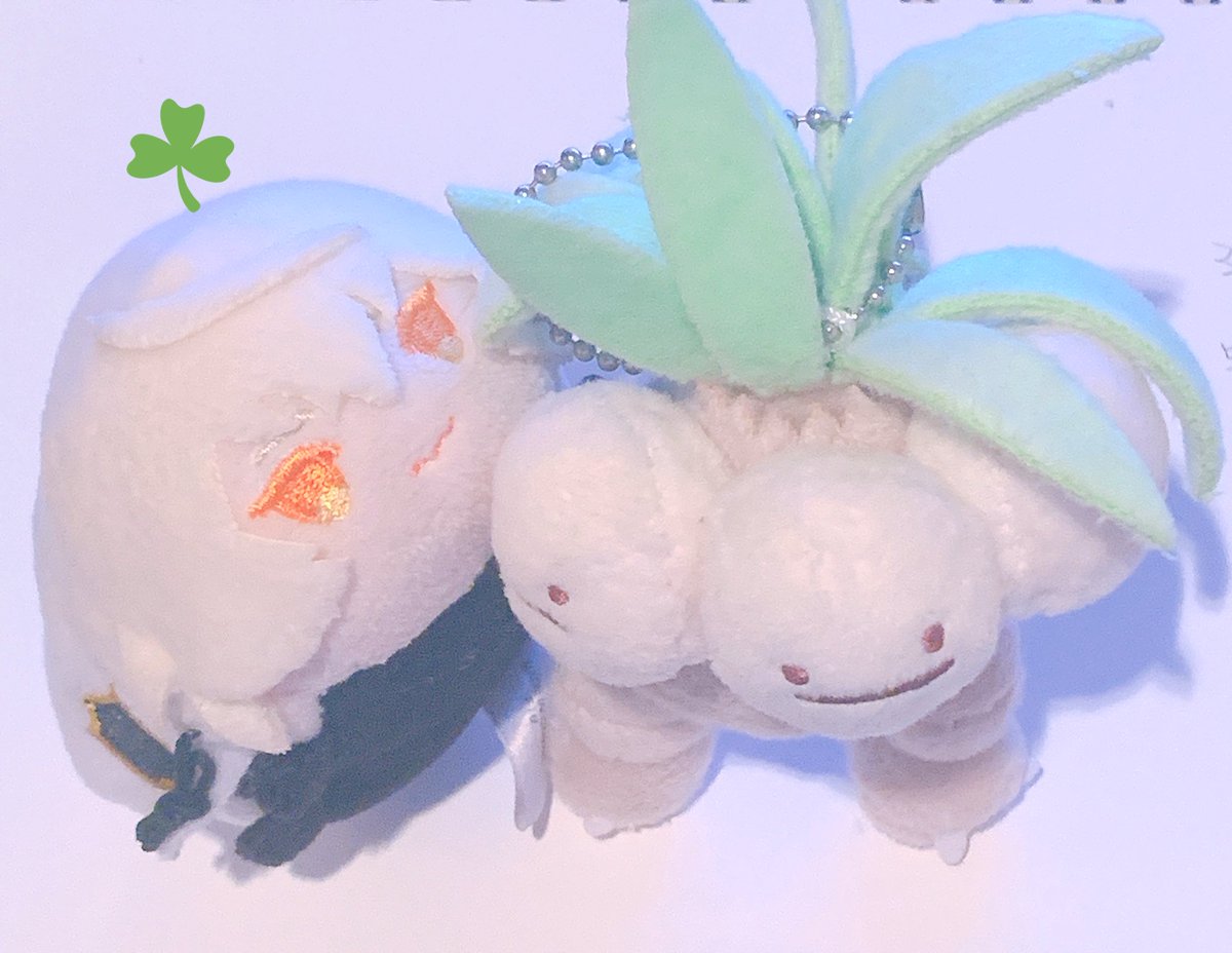 mtmtktn's tweet photo. 🌱 https://t.co/u3aj3V0twX