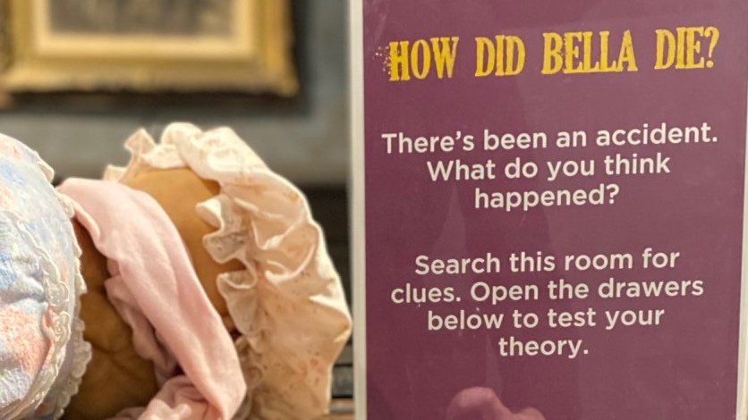 What in the #WickedPlants is this? We've got a mystery on our hands in this new exhibit! Learn more about it here: youtu.be/UnsQAW3Jbnk