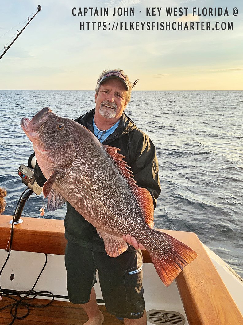 FishDailyKW's tweet image. Captain John has been busy with charters, recent charter catch 🐱🐱#grouper #kittymitchellgrouper #strawberrygrouper #calicogrouper #speckledhindgrouper #KeyWest #FloridaKeys #gulfofmexico #drytortugas #florida #bottomfishing #spenceryachts #yamaha #costasunglasses