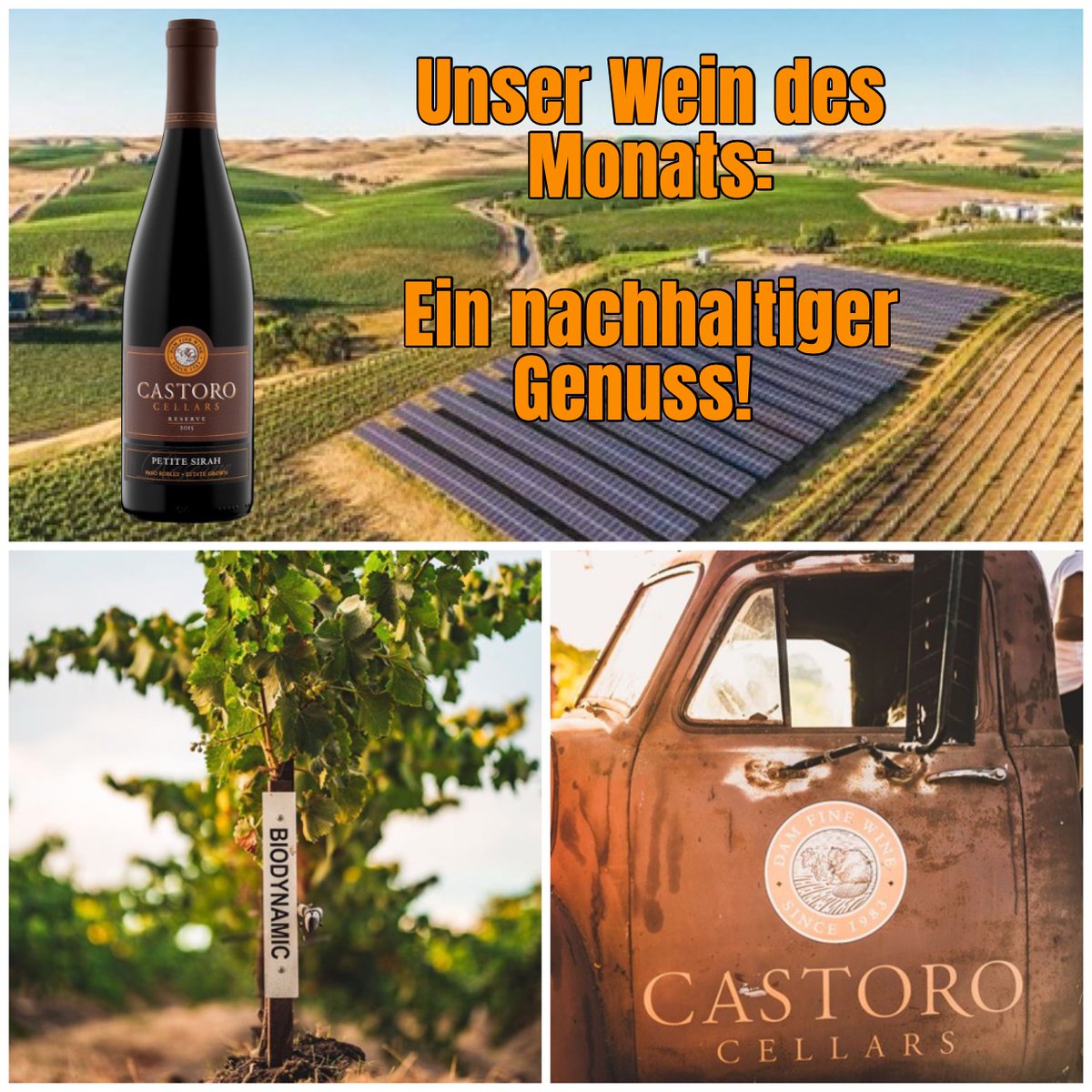 FactoryWines's tweet photo. Unser #WineoftheMonth: #PetiteSirah von Castoro Cellars aus #PasoRobles in #Kalifornien: Ein Weingut, das allergrössten Wert auf #Biodynamik und ökologische #Nachhaltigkeit legt. 
Jetzt zum Kennenlernpreis von 24 CHF (statt 27): 
https://t.co/hbEX6UXKMb https://t.co/wenK4mMsHf