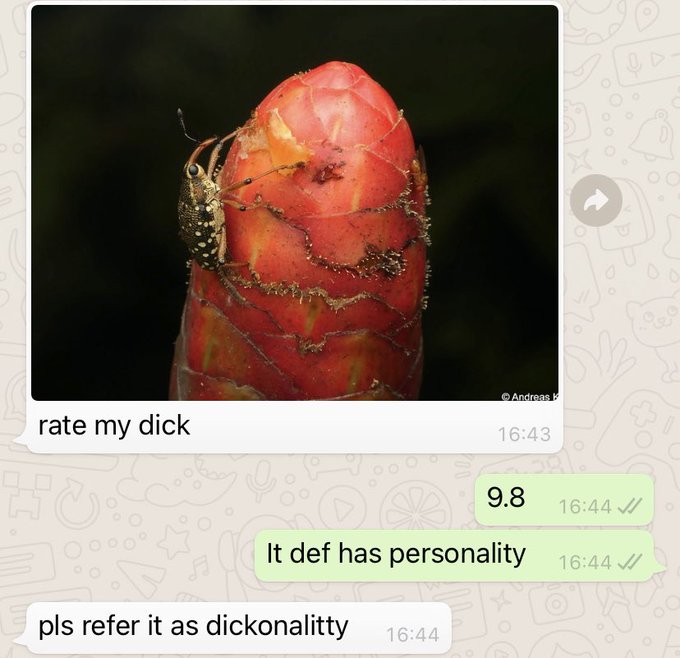 So my brother sent me this ☠️ https://t.co/EfPljjtM1D