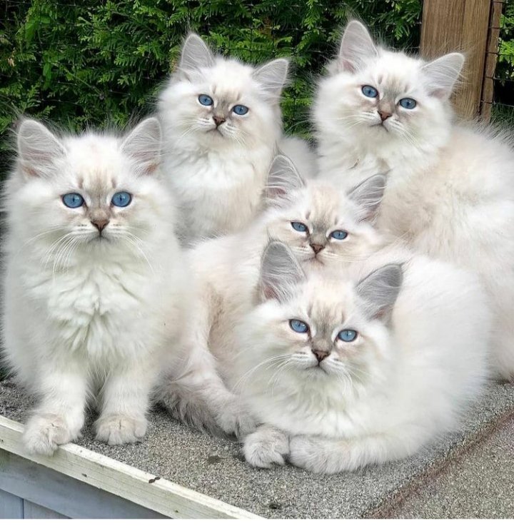 Gamze (@gamze27898711) on Twitter photo 