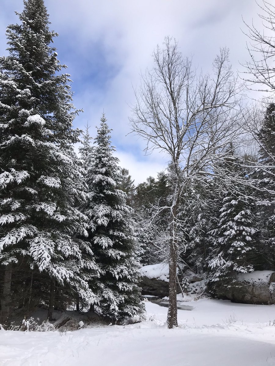 Arlene Robinson tweet media