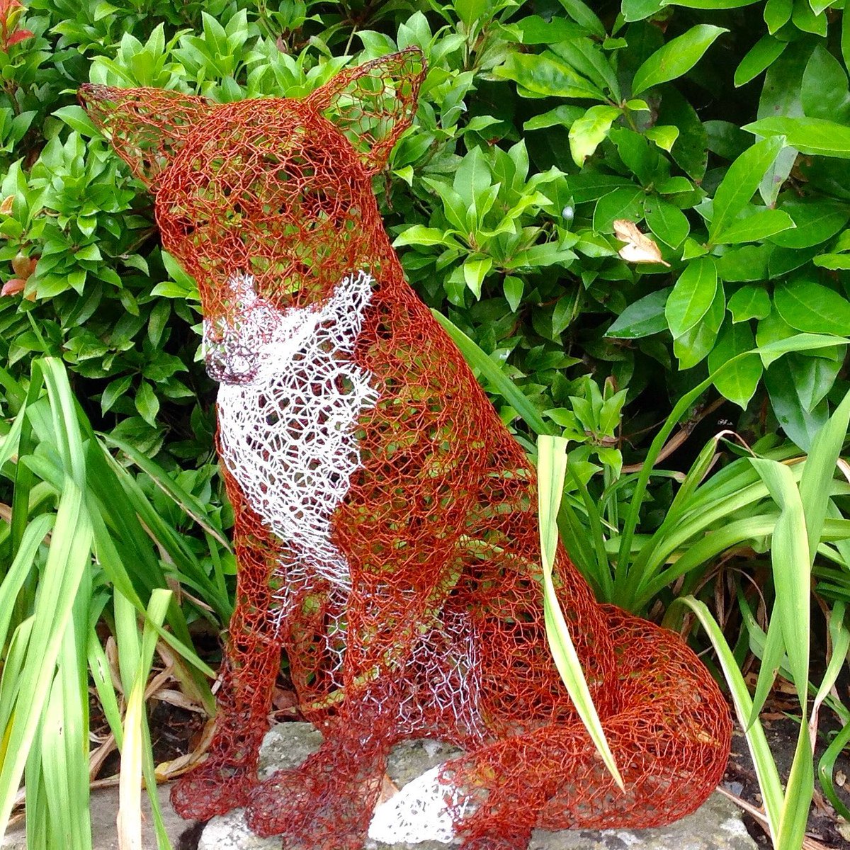 Nicolette Trapp tweet media