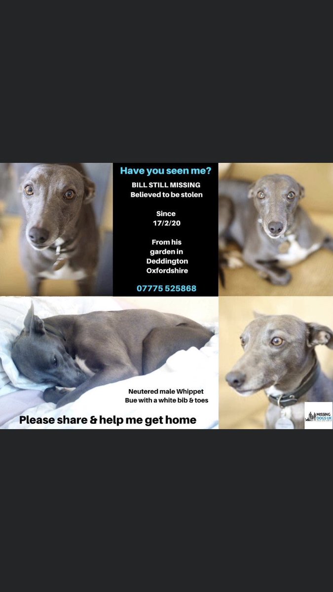 RachaelB100's tweet photo. #BillMissing https://t.co/FPR1PMc8BH