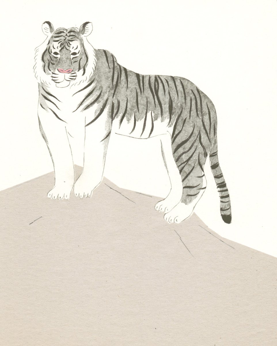 村林タカノブ 虎 イラスト Artwork トラ Tiger Illustration Drawing 虎 村林タカノブ 虎 イラスト Artwork トラ Tiger Illustration Drawing 虎