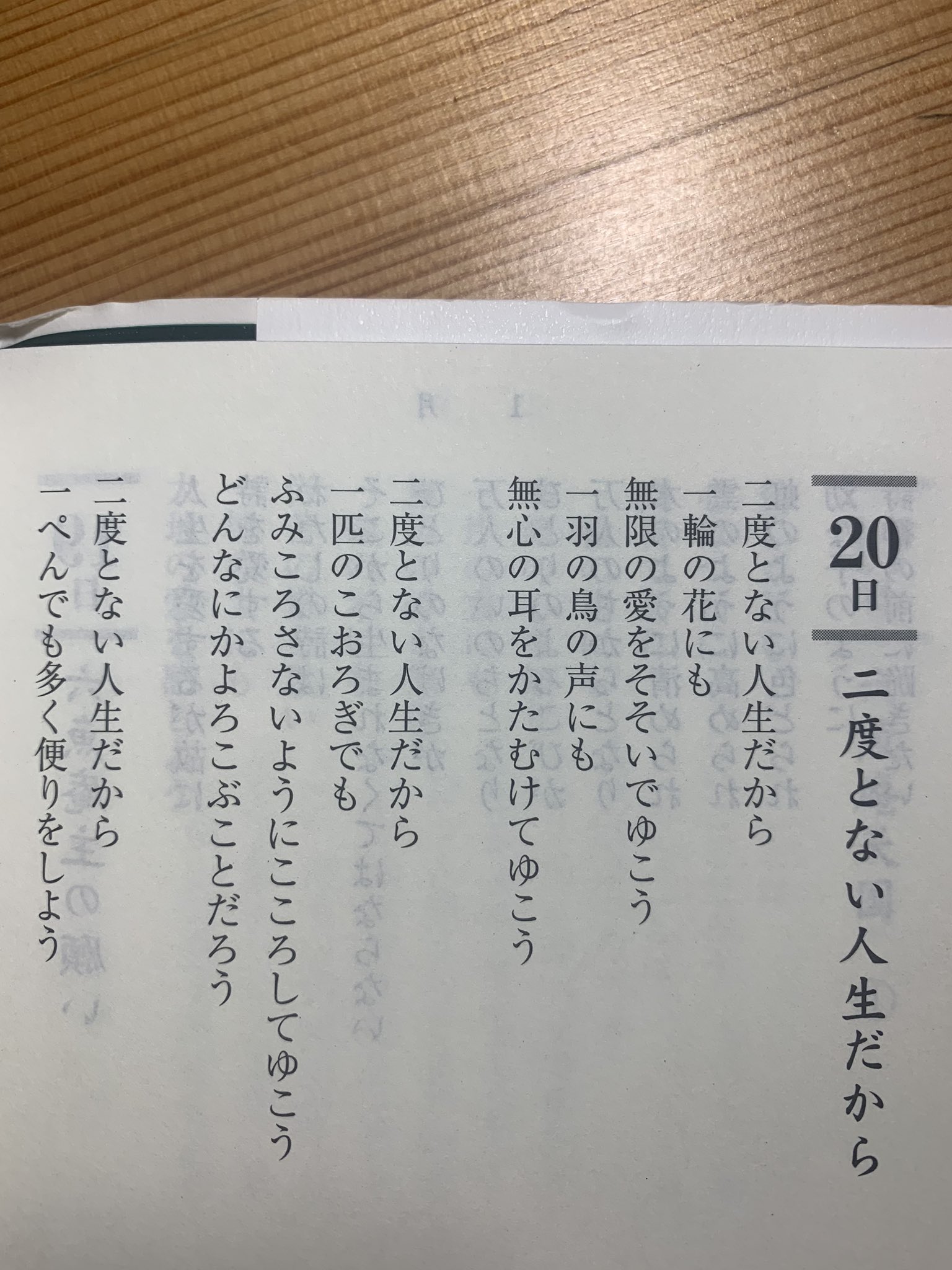 西脇透 おはようございます 今朝の言葉は 二度とない人生だから 坂村真民 感謝という偉大な力 論語に学ぶ 本を読む機会を得て 良く出てくる言葉に 二度とない人生 を読むことがあります 坂村真民先生の言葉の意味が素直に入ってくる様に思われます 感謝
