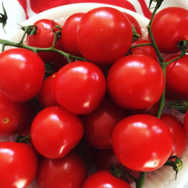 To our valued guests, 

We have made the decision to close our doors during this red phase. Thank you to everyone who continues to support us through these trying times. 

Wash your hands, wear a mask, stay home, stay safe. 
See you all back in orange 🍊 
The Palate Team