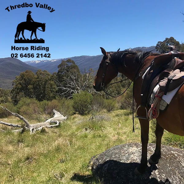 Experience one of the most breath-taking Snowy Mountains Activities.  Ride the Alpine High Country with Nev and Linda and the team from Thredbo Valley Horseriding  Enjoy your very own 'Man from Snowy River' experience. thredbovalleyhorseriding.com