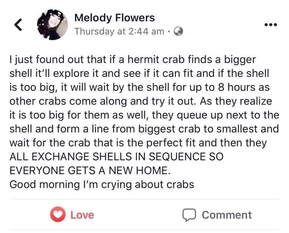 MichWilliams15's tweet photo. Shout-out to Melody Flowers. I don't know her, but I saw this on the internet and it made me smile. How it makes you smile. https://t.co/ZWZJ4GFRe0
