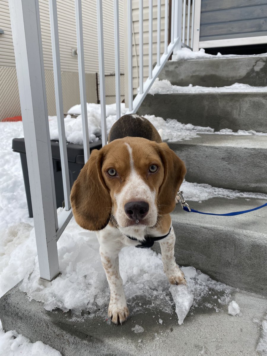 EmilySaad tweet picture