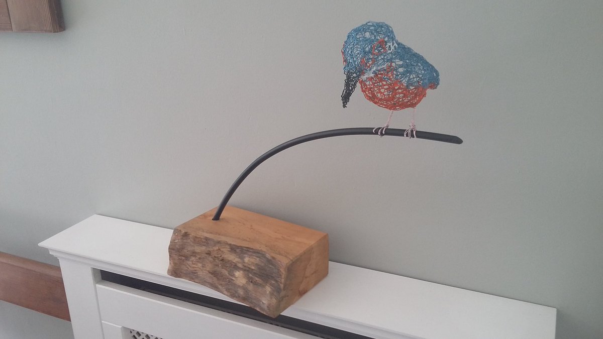 Nicolette Trapp tweet media