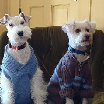 Rumplepimple1's tweet photo. #Working9To5For fancy clothes. https://t.co/UpXaWSZ6jV
