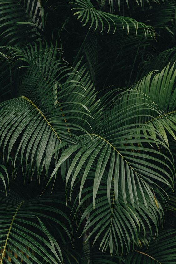 3. Your breathingThis is Likely the most important. Focus on your breathing. Control it, slow it down and feel in run throughout your whole body. When the whole world is hectic and filled with chaos. Close your eyes, & let your breathing free you.