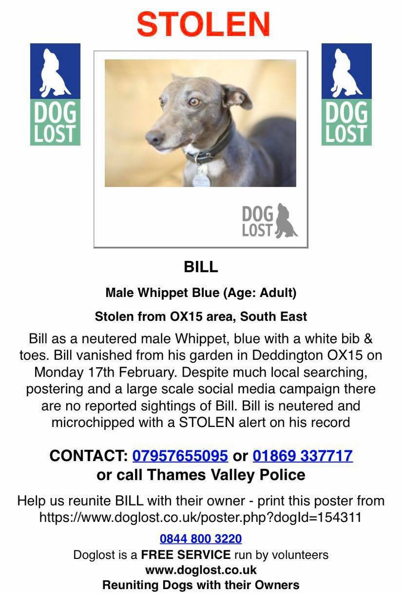 janice_adams3's tweet photo. WHERE IS BILL?
#BillMissing #STOLENWhippet neutered & microchipped, vanished from garden
FEBRUARY 2020 JUST BEFORE #lockdown
#Deddington ๐ข
๐จWHO REMEMBERS SEEING BILL WHEN HE WAS TAKEN๐จ
https://t.co/GJ0xKWrrbFโฆ
@MissingPetsGB @thedogfinder @DoglostUK https://t.co/MNVHMDVsji
