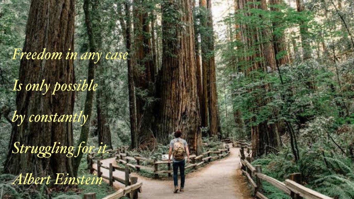 TargetedArmor's tweet image. 