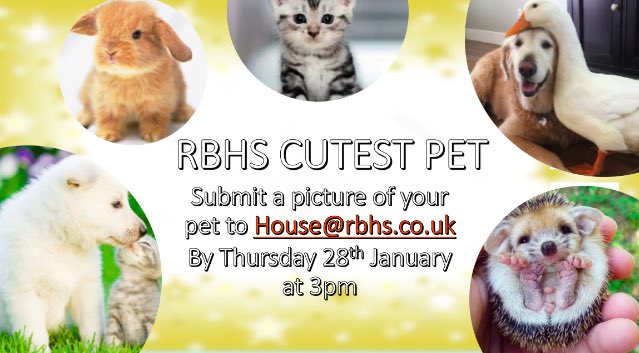 RBHSHouses's tweet photo. The staff reckon they will win this one... https://t.co/vhB2l1bBpV