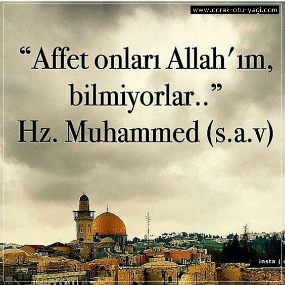 tkagan71's tweet photo. #Sevgitoplumuicinbirmesajdabende https://t.co/JJQexs0Zji