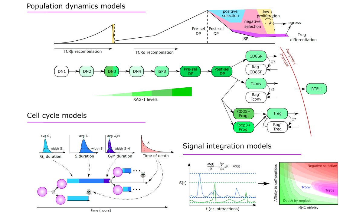 Philippe A. Robert tweet media
